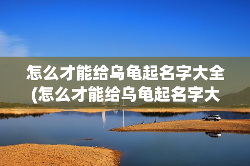 怎么才能给乌龟起名字大全(怎么才能给乌龟起名字大全呢)