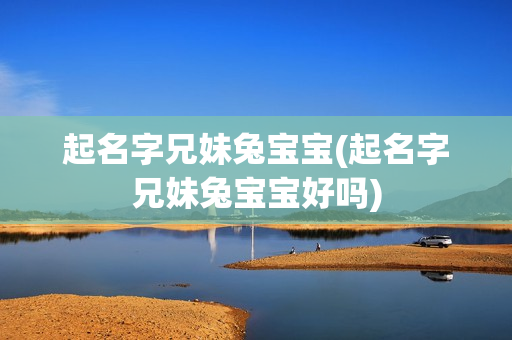 起名字兄妹兔宝宝(起名字兄妹兔宝宝好吗)