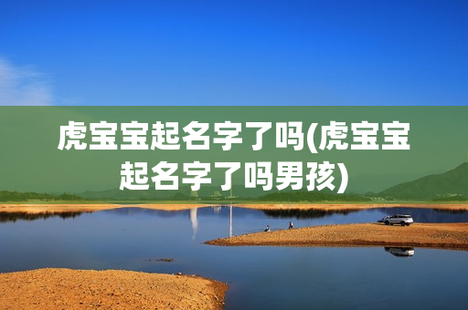 虎宝宝起名字了吗(虎宝宝起名字了吗男孩)