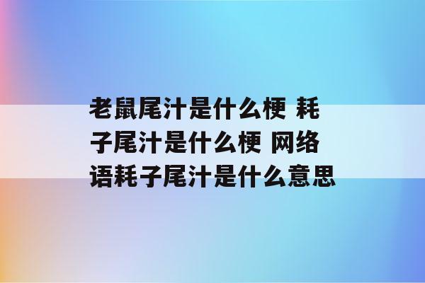 网络名梗句大全（网络名梗句大全耗子）