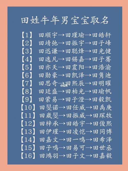 冬天的男宝宝起名字姓田(冬天的男宝宝起名字姓田怎么起)