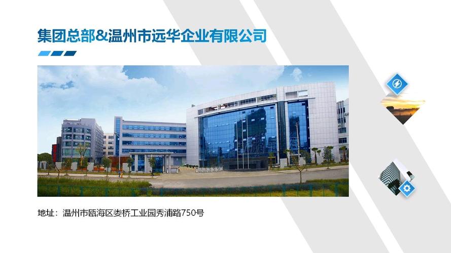 温州给公司起名字大全(温州有什么知名企业)