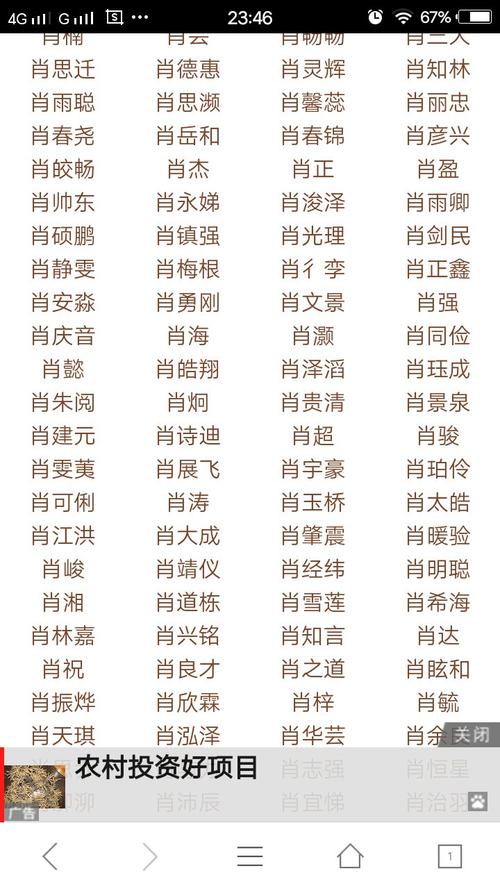 17年肖姓宝宝起名字怎样(17年肖姓宝宝起名字怎样起)