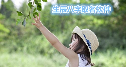 新生儿起名字生辰八字(新生儿起名字生辰八字起名)