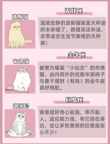 给猫起名字12星座怎么样(十二星座宠物猫的名字)