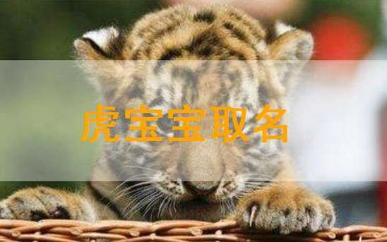 虎年给儿子起名字大全(虎年给儿子起名字大全男孩)