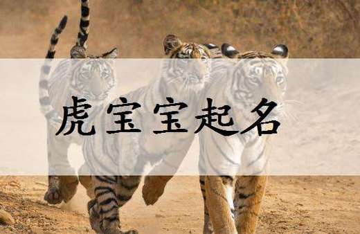虎年年初出生宝宝起名字(虎年出生的宝宝起名大全)