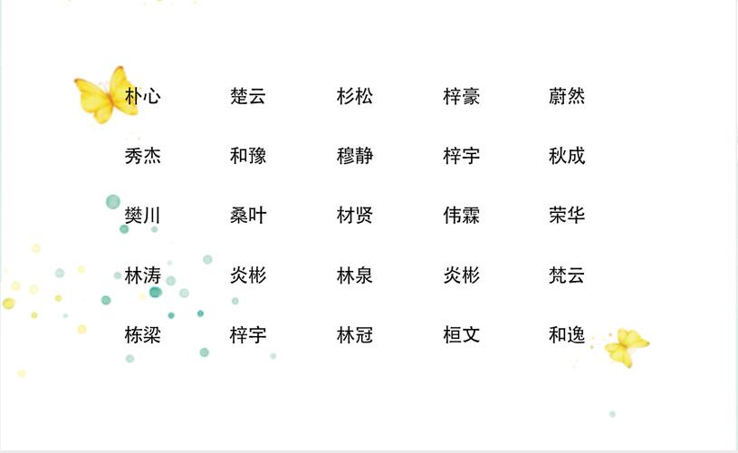 传字辈男孩名字洋气（传字起名男孩名字）