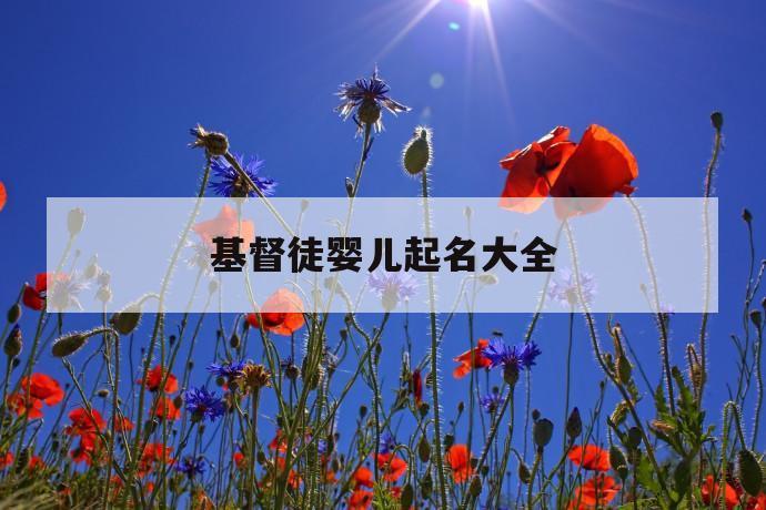 基督徒宝宝起名字叫(基督徒宝宝起名字叫什么)