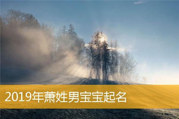 萧宝宝起名字大全男孩(萧宝宝起名字大全男孩)