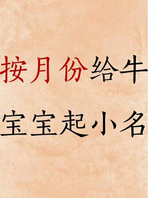 牛宝宝阴历十一月起名字()