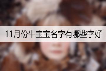 牛宝宝阴历十一月起名字()