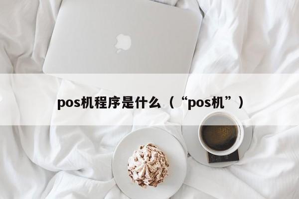 pos机程序是什么（“pos机”）