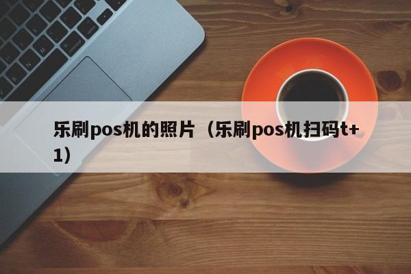乐刷pos机的照片（乐刷pos机扫码t+1）