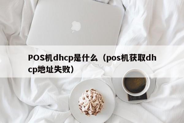 POS机dhcp是什么（pos机获取dhcp地址失败）