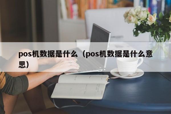 pos机数据是什么（pos机数据是什么意思）
