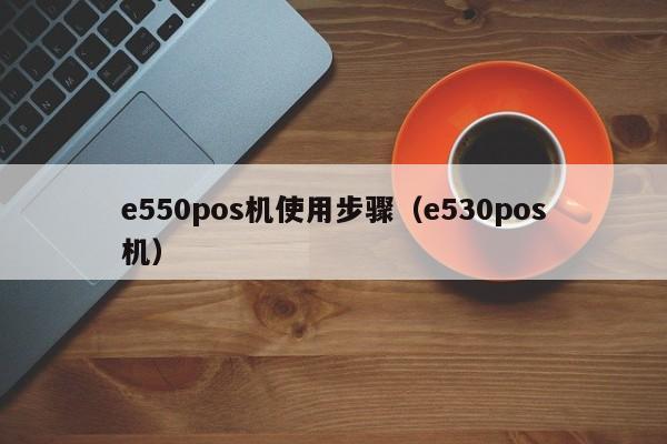 e550pos机使用步骤（e530pos机）