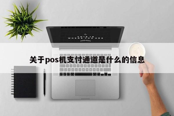 关于pos机支付通道是什么的信息
