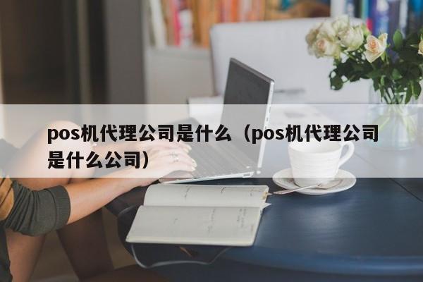 pos机代理公司是什么（pos机代理公司是什么公司）